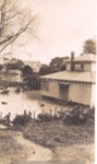 Photo: Corner of Wellington/Church Streets during floods, 1948; 97/1081