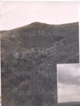 Photo: Matauwhi Estate,Russell; 01/177