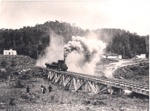 Photo: Locomotive with logs leaving Puketi for Waipapa; RM1180/3