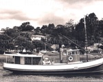 Photo: s.s. "Settler" at Russell, 1972; 97/601