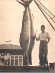 Photo: Jack Garland with two gamefish, Russell wharf; 97/629