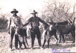 Photo: Zane Grey and another man with four donkeys, c1931; 98/329/2