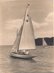 Photo: Yacht "Ngataringa" in Kororareka bay; 97/550
