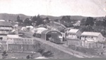 Photo: Kawakawa with Railway Station in foreground, c1900; 97/1211/2