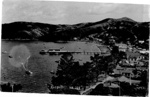 Photo postcard: View of Kororareka Bay looking north; 13/067