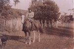 Photo: Ellen May Wills, mail run to Rawhiti, 1910; 94/109/3