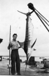 Photo: Paul Coll and marlin, Russell wharf; 11/156