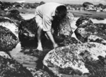 Photo: V W Lindauer on Taranaki coast; 13/052
