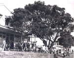 Photo: The Strand by Russell General Store, Christmas/New Year, 1972-73; 97/1465