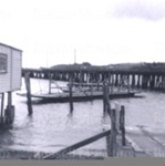 Photo: Car ferry turning at Opua ramp, c1960; 99/1455/2 Photo: Car ferry turning at Opua ramp, c1960; 99/1455/2