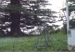 Photo: Te Wahapu Reserve, 1988; 99/311/3