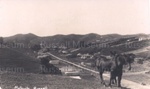 Photo: View from hill looking along Matauwhi Bay Road to Russell town centre, c1920-30; 97/885