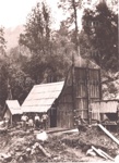 Photo: North Auckland bush camp, 1912; RM1180/4