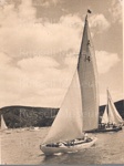 Photo: Yacht "Ngataringa" regatta day, 1950's; 97/551