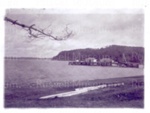 Photo:  Russell from south end of beach toward Russell Wharf, showing the Stephenson crane.; Eric Grey; 10/180