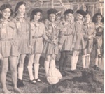 Clipping; 97/805 Clipping; 97/805