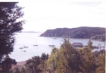 Photo: View of Russell from above Pompellier, 1962; 99/1464
