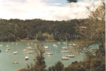 Photo: View of Matauwhai Bay c1980; 00/191