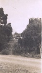 Photo: Church Street from Wellington Street, 1946; 97/967