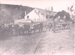 Photo: Bullock team hauling shingle from Long Beach, taken corner of Chapel and Beresford Streets, Russell; HK8