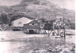 Photo: Masefield's wharf and fish cannery, Russell; 97/862