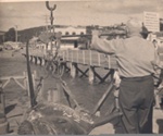 Photo: Alec Armstrong weighing a gamefish, Russell wharf, c1950; 97/639