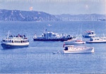 Copy: "Bay Belle", Navy patrol boat and others off Oihi/Marsden Cross, Christmas Day 1964; 11/94 Copy: "Bay Belle", Navy patrol boat and others off Oihi/Marsden Cross, Christmas Day 1964; 11/94