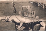 Photo: Fred Baker and Alec Armstrong bringing gamefish ashore, Russell wharf; 97/638