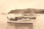 Photo: Kororareka bay with yachts; 97/576