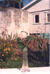 Photo: View of neighbour's cottage from Kauri Cottage, c1980's; 97/1683/4