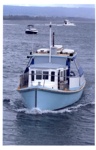Photo: "Miss Ida" in Tauranga Harbour; 11/153