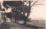 Postcard: The Strand, Russell; RM1085h