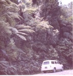 Photo: Ngaiotonga Gorge and Doig's car, c1960; 99/1489