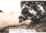 Photos (3): Paihia beach, 1924; 95/93/1