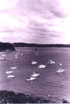 Photo: Boats in Kororareka Bay; 97/1781