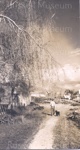 Photo: Church Street looking south by bowling green, c1950; 97/968
