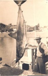 Photo: Angler with gamefish, Russell wharf, c1950's; 97/632