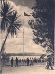 Photo: Flagstaff and visitors in front of Treaty House, Waitangi; 97/1323