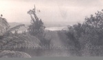 Photo: Looking over Waikare Inlet from Russell/Whangarei road; 97/1436