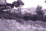 Photo: Clairmont subdivision, Orongo Bay view towards hills c1990; 01/107/13