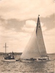 Photo: Yacht passing launch, Russell regatta, 1950's; 97/555