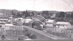 Photo: Kawakawa with Railway Station in foreground, c1900; 97/1211/1