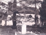 Photo: Christ Church, Russell, c1908; 97/1105