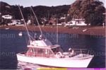Photo: "Diomedea" off Russell Beach; 99/1499