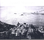 Photo: Whaling nets, Whangamumu, near Cape Brett; 95/36