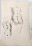 Drawing: Two Studies of Posterior Female Nude Torso ; Pauline Kahurangi Yearbury; 10/80