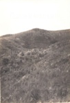 Photo: Hill and gully, Matauwhi Bay; 01/193