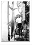 Photo: William Maitland with mako shark, weighed at Deep Water Cove c1930's ; 13/063