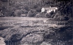 Photo: Mr Seth Smith's house, Russell 1924; 11/28