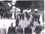 Photo: Waitangi, Queen arriving (6/2/1963); Photographer : Tudor Collins; 97/1498